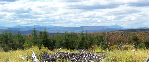 atv tours rentals