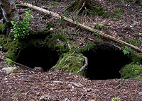 entrance to enchanted cave - maine.