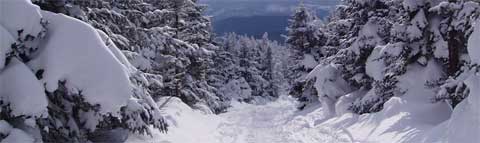 Snowmoblie Maine